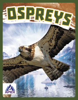 Paperback Ospreys Book
