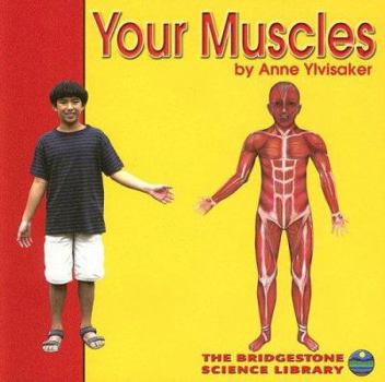 Paperback Your Muscles Book