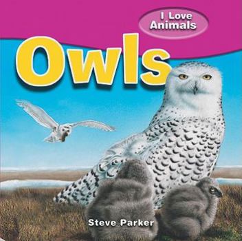 I Love Owls - Book  of the I Love