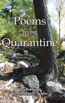 Hardcover Poems from Quarantine: An Anthology of Brainstorms Book