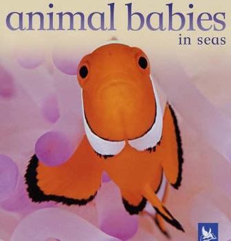 Hardcover Animal Babies in Seas Book