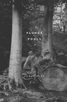 Paperback Plunge Pools Book
