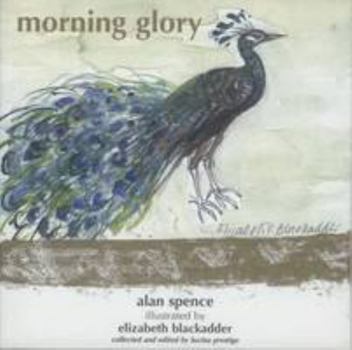 Paperback Morning Glory Book