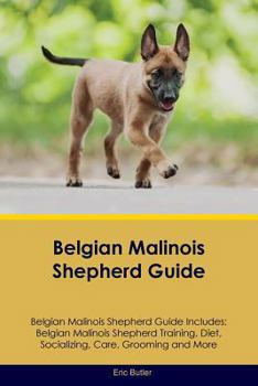 Paperback Belgian Malinois Shepherd Guide Belgian Malinois Shepherd Guide Includes: Belgian Malinois Shepherd Training, Diet, Socializing, Care, Grooming, Breed Book