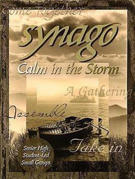Paperback Synago Calm in the Storm Leader: Student Led Senior High Cell Group Book