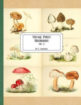 Paperback Vintage Prints: Mushrooms: Vol. 5 Book