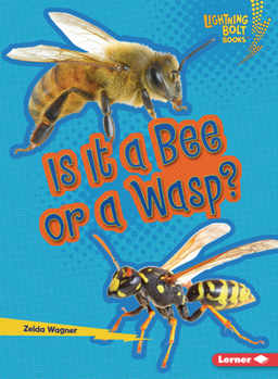 Is It a Bee or a Wasp? (Lightning Bolt Books (R) -- Which Is It?)