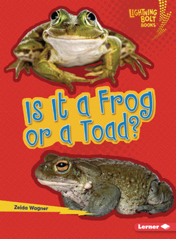 Is It a Frog or a Toad? (Lightning Bolt Books (R) -- Which Is It?)