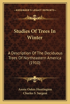 Paperback Studies Of Trees In Winter: A Description Of The Deciduous Trees Of Northeastern America (1910) Book