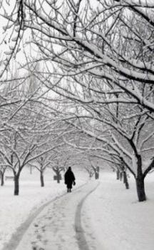 Hardcover Snowy Path Blank Book