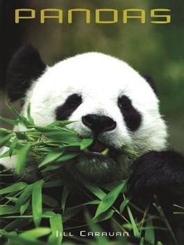 Pandas - Book  of the Animals in the Wild