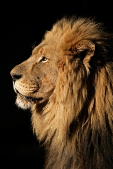 Lion Lovers 2020 Weekly Monthly Planner: With Agenda & Appointments Calendar Schedule, To Do List, Notes & Gratitude | Lion Lover Gifts For Men & ... Serengeti Safari | African Jungle Wildlife