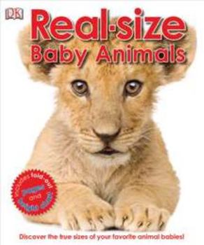 Hardcover Real-Size Baby Animals Book