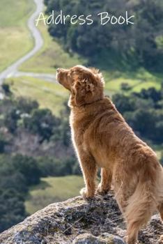 Address Book: Labrador Retriever dog address book for women, men & kids. Featuring large print, perfect for friends, family & work c