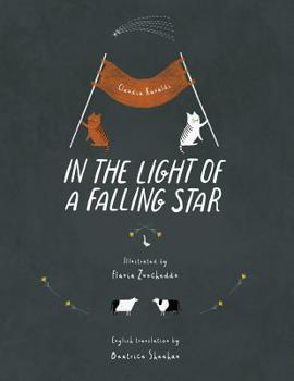 Paperback In the light of a falling star Book