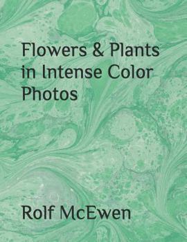 Flowers & Plants  in Intense Color Photos
