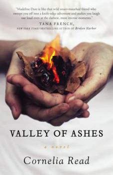 Hardcover Valley of Ashes [Large Print] Book
