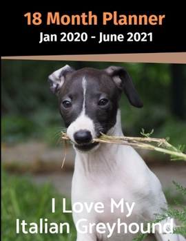 Paperback Jan 2020 - June 2021 18 Month Planner: I Love My Italian Greyhound Book