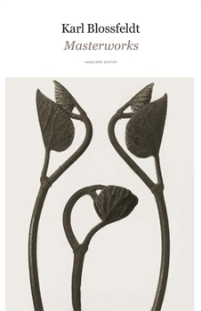 Hardcover Karl Blossfeldt: Masterworks Book