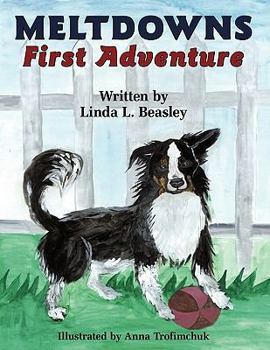 Paperback Meltdowns First Adventure Book