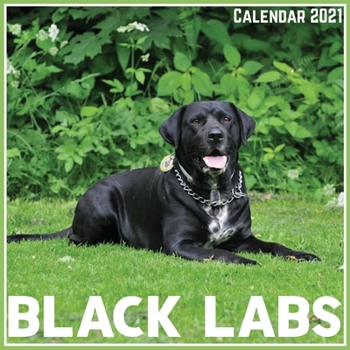 Paperback Black Labs Calendar 2021: Official Black Labs Calendar 2021, 12 Months Book