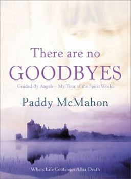 Paperback There Are No Goodbyes: Guided by Angels-My Tour of the Spirit World Book