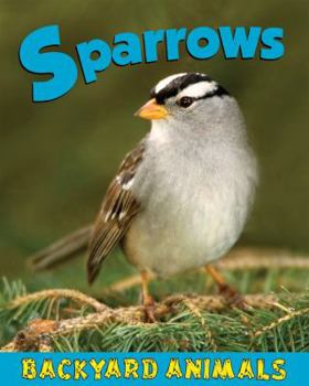 Sparrows - Book  of the Backyard Animals