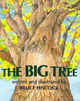 Library Binding The Big Tree Book