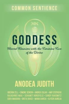 Paperback Goddess: Blessed Reunions with the Feminine Face of the Divine Book