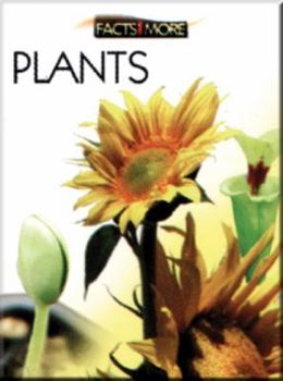 Paperback FACT AND MORE : PLANTS Book