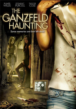 DVD The Ganzfeld Haunting Book