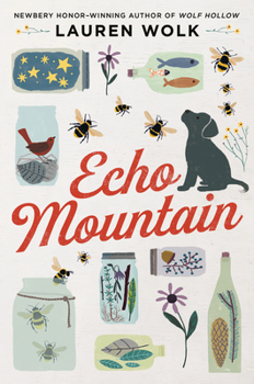 Paperback Echo Mountain Book