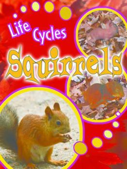 Paperback Squirrels Book