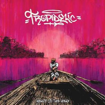 Vinyl Heavy Is The Head Book