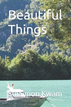 Paperback Beautiful Things Book