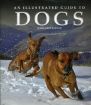 Hardcover Illustrated Guide to Dogs Book