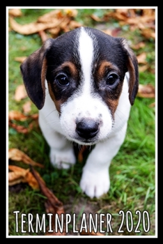 Terminplaner 2020: Jahresplaner von September 2019 bis Dezember 2020 mit Hund - Planer mit 174 Seiten in weiß im Format A5 mit glänzendem Soft Cover. (German Edition)