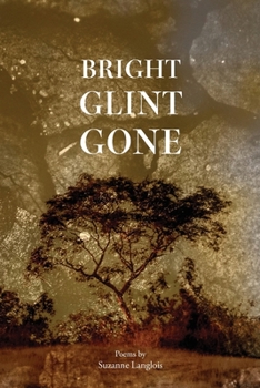 Paperback Bright Glint Gone Book