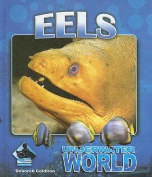 Library Binding Eels Book