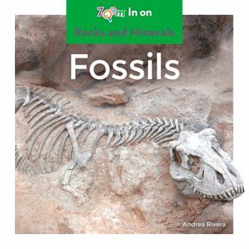 Fossils - Book  of the Rocks and Minerals