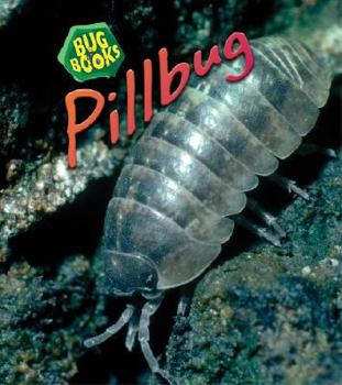 Paperback Pillbug Book