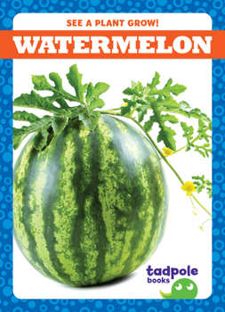 Library Binding Watermelon Book