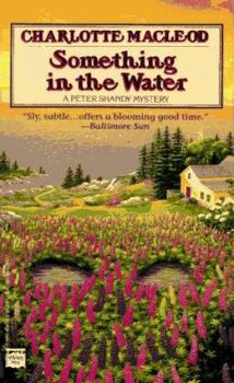 Mass Market Paperback Something in the Water Book