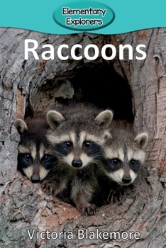 Paperback Raccoons Book