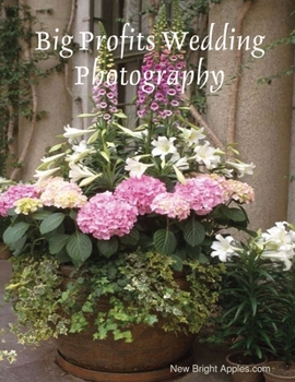 Paperback Big Profits Wedding Photography Book