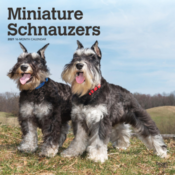 Calendar Schnauzers, Miniature 2021 Square Book