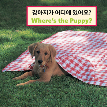 Hardcover Kor/English Where's the Puppy Book