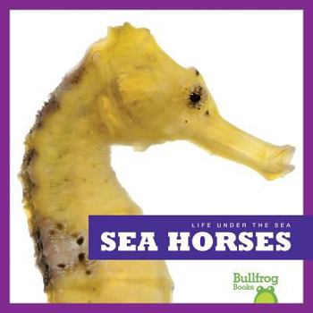 Sea Horses - Book  of the Life Under the Sea