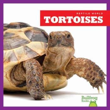 Tortoises - Book  of the Reptile World