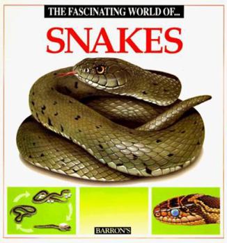 Paperback The Fascinating World of Snakes Book